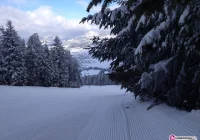 Ruszyły trzy stacje narciarskie w regionie - zdjęcie główne