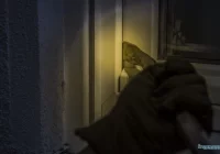 Włamanie do sklepu, policja szuka sprawców - zdjęcie główne