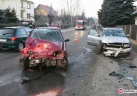 Skończyło się na mandacie - zdjęcie główne