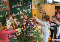 Choinki nadziei od najmłodszych - zdjęcie główne