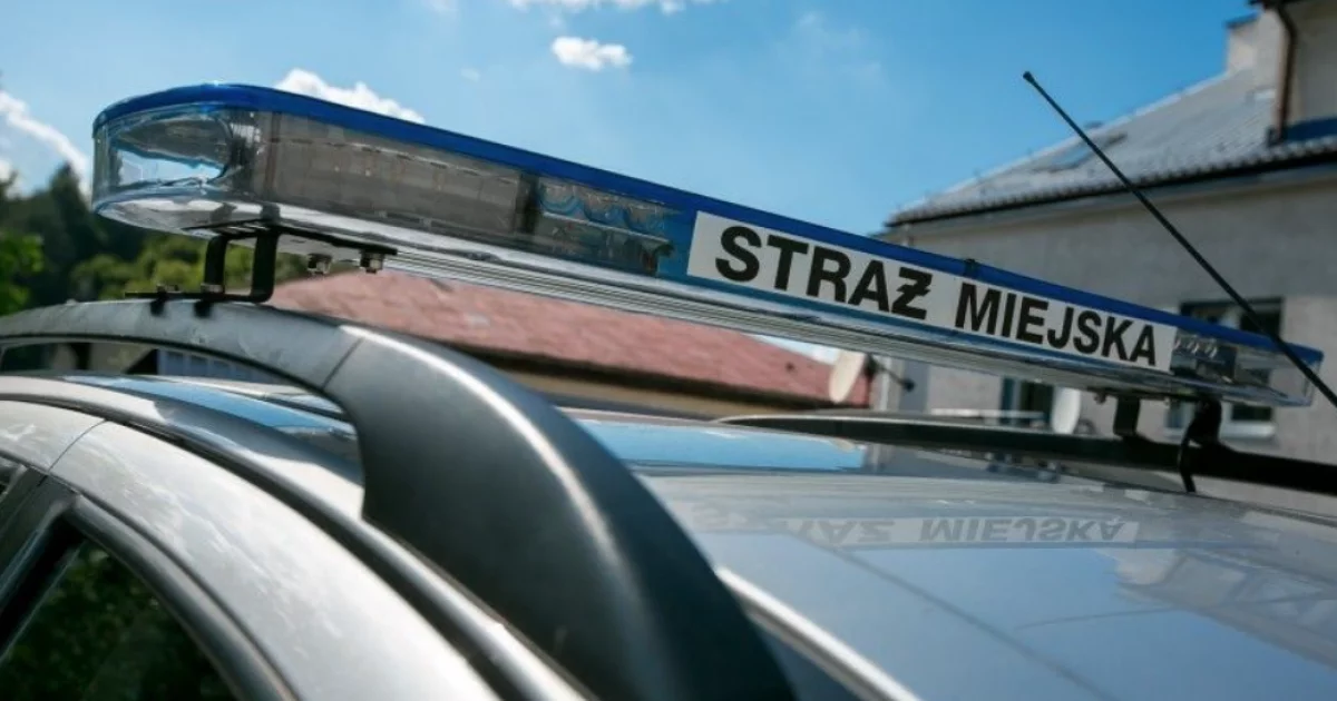 Wybrano ofertę na zakup elektrycznego SUV-a dla straży miejskiej
