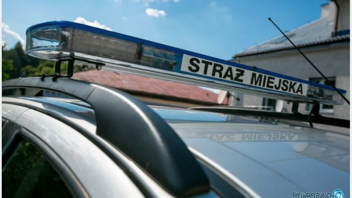 Rusza ogólnopolskie badanie liczby osób bezdomnych