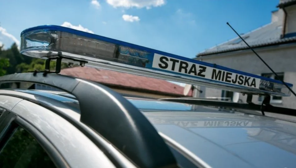 Wybrano ofertę na zakup elektrycznego SUV-a dla straży miejskiej - zdjęcie 1