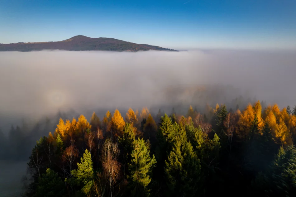Prognoza pogody na weekend. Zobacz dzisiejszy poranek na zdjęciach - zdjęcie 2