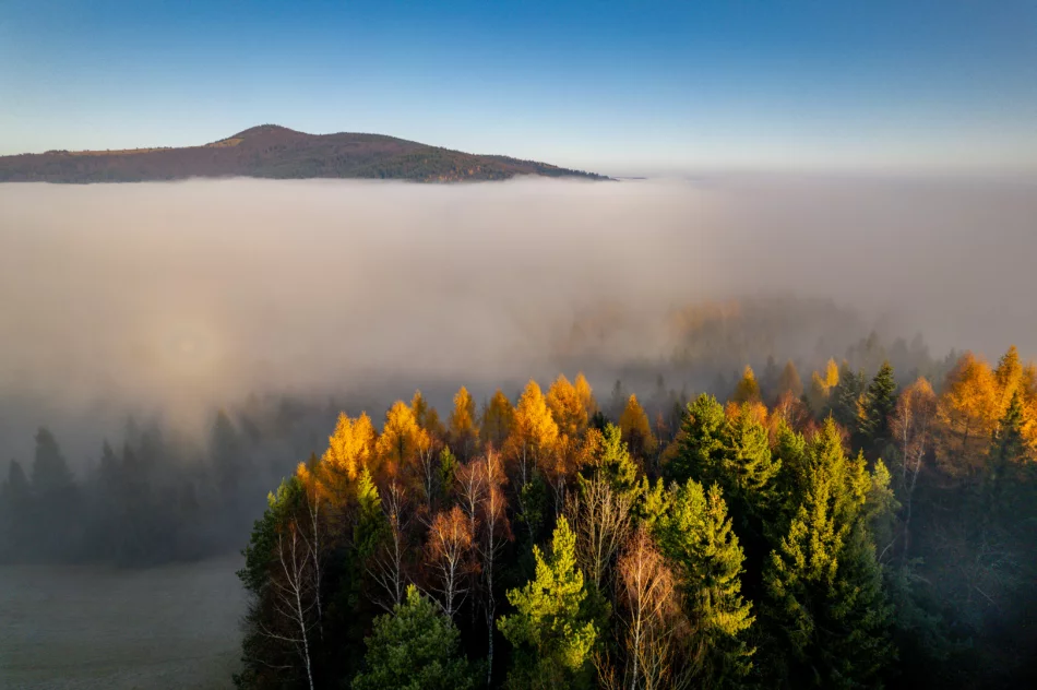Prognoza pogody na weekend. Zobacz dzisiejszy poranek na zdjęciach - zdjęcie 3