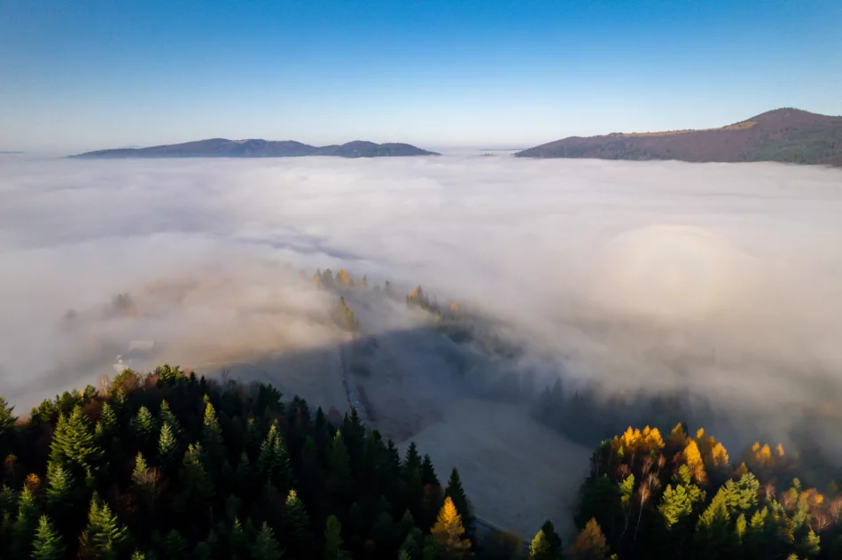 Prognoza pogody na weekend. Zobacz dzisiejszy poranek na zdjęciach - zdjęcie 4