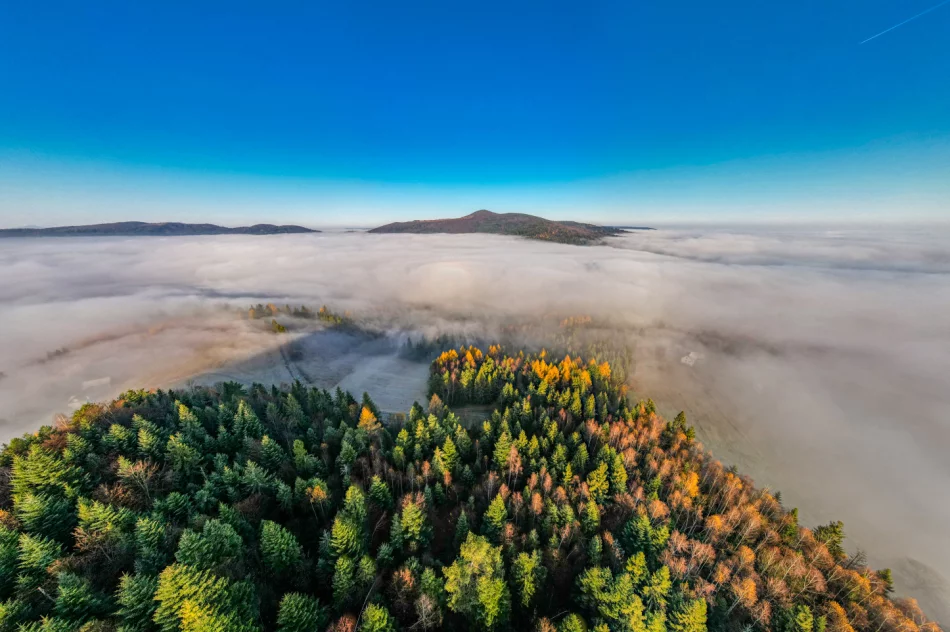 Prognoza pogody na weekend. Zobacz dzisiejszy poranek na zdjęciach - zdjęcie 5
