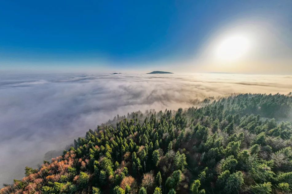 Prognoza pogody na weekend. Zobacz dzisiejszy poranek na zdjęciach - zdjęcie 6