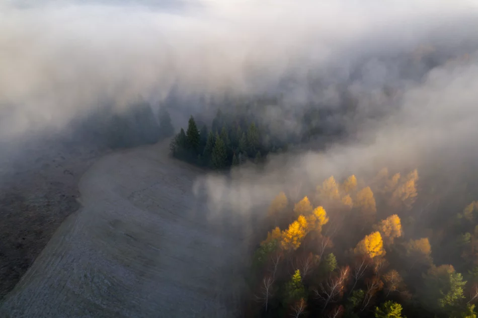 Prognoza pogody na weekend. Zobacz dzisiejszy poranek na zdjęciach - zdjęcie 7