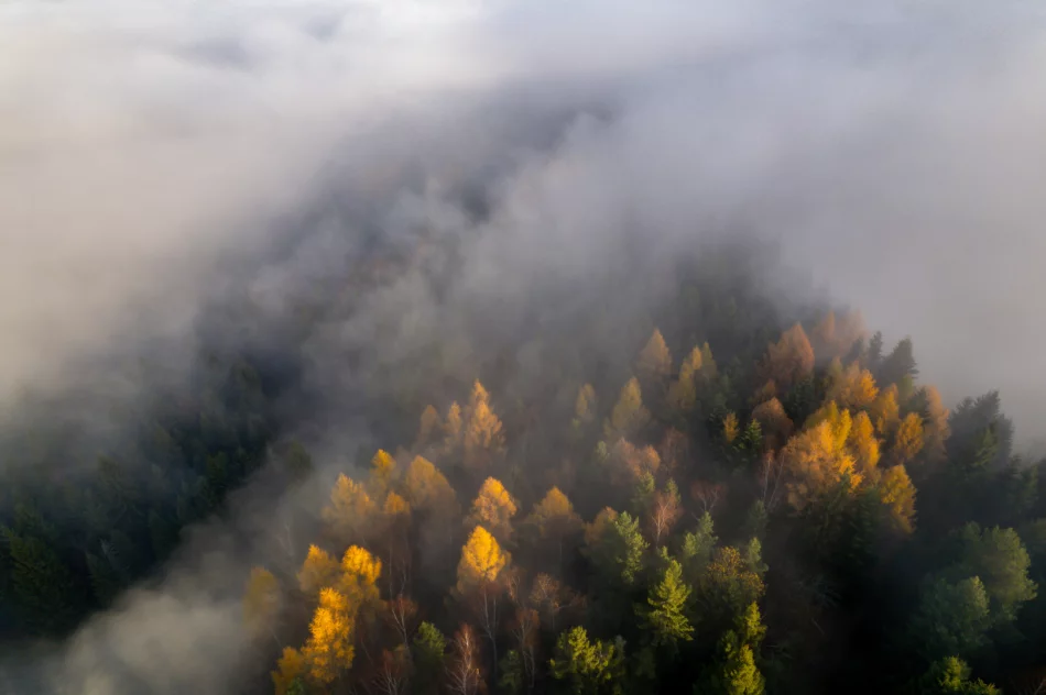 Prognoza pogody na weekend. Zobacz dzisiejszy poranek na zdjęciach - zdjęcie 8