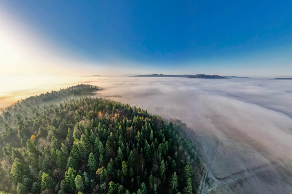 Prognoza pogody na weekend. Zobacz dzisiejszy poranek na zdjęciach - zdjęcie 10
