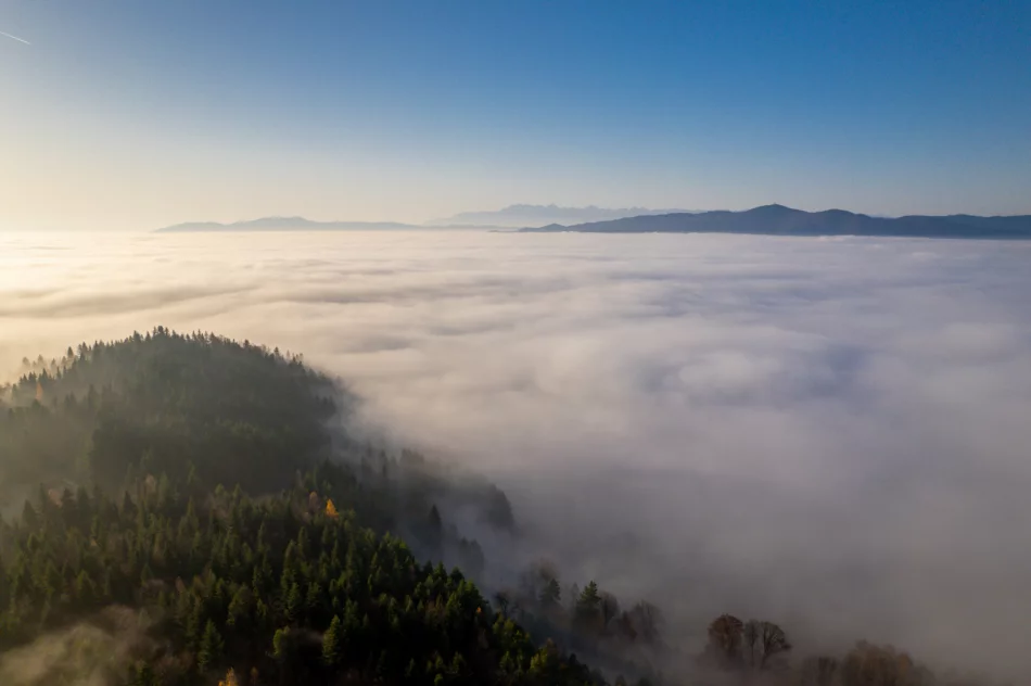 Prognoza pogody na weekend. Zobacz dzisiejszy poranek na zdjęciach - zdjęcie 15