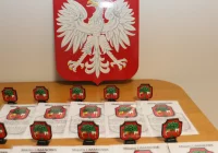 Miasto Limanowa uczestnikiem projektu edukacyjnego „Moja Polska” - zdjęcie główne