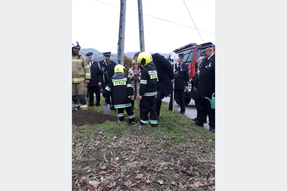 Strażacy z OSP Łososina Górna posadzili dąb na pamiątkę 100-lecia utworzenia Związku OSP RP - zdjęcie 2