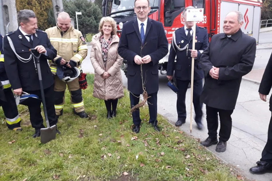 Strażacy z OSP Łososina Górna posadzili dąb na pamiątkę 100-lecia utworzenia Związku OSP RP - zdjęcie 3