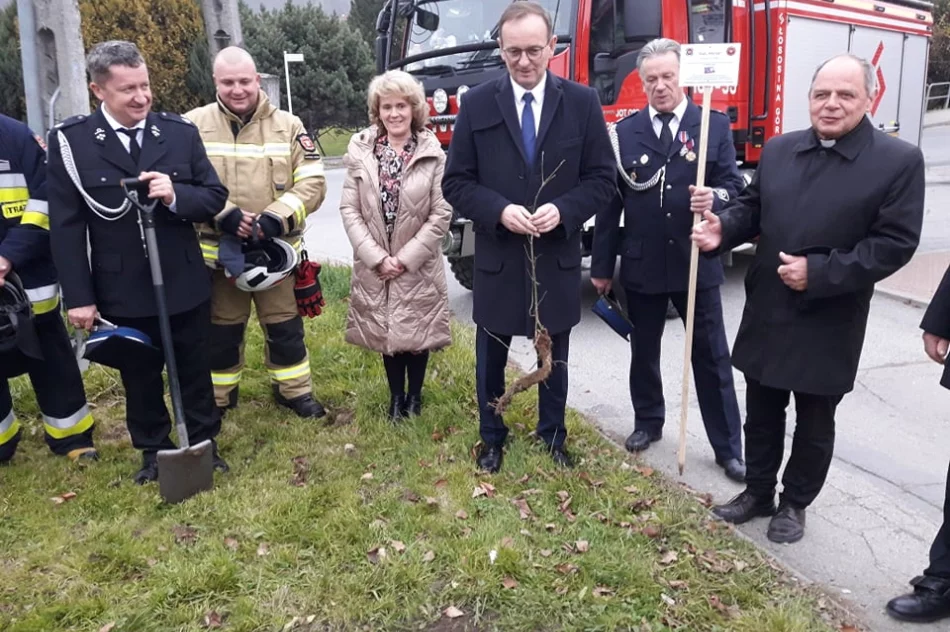 Strażacy z OSP Łososina Górna posadzili dąb na pamiątkę 100-lecia utworzenia Związku OSP RP - zdjęcie 6