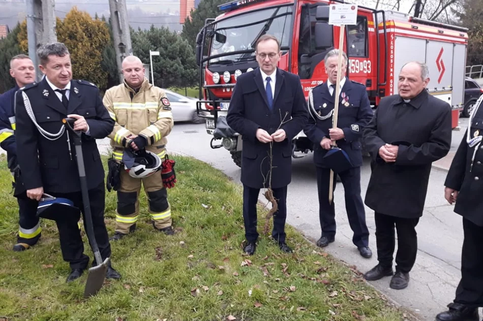 Strażacy z OSP Łososina Górna posadzili dąb na pamiątkę 100-lecia utworzenia Związku OSP RP - zdjęcie 12