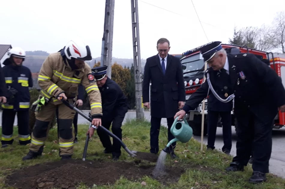 Strażacy z OSP Łososina Górna posadzili dąb na pamiątkę 100-lecia utworzenia Związku OSP RP - zdjęcie 13