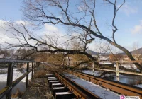 Orkan: 38 interwencji, około 115 tys. zł strat - zdjęcie główne