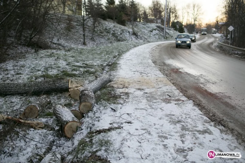 Orkan: 38 interwencji, około 115 tys. zł strat - zdjęcie 3