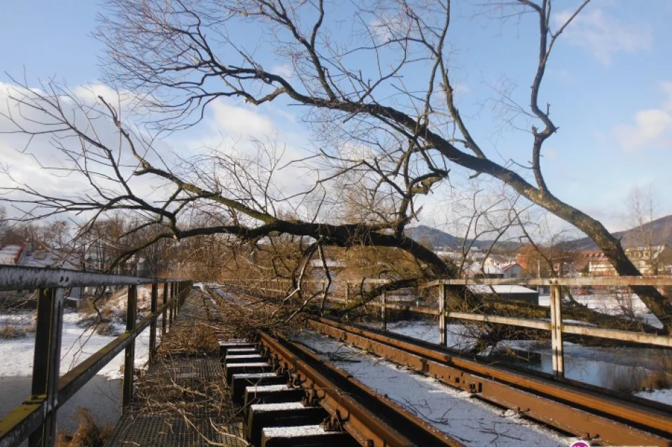 Zerwany dach, powalone drzewa - zdjęcie 3