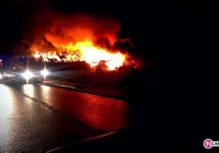 Historia bohaterów. Dziękują za uratowanie życia - zdjęcie główne