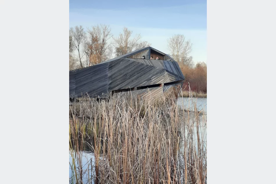 Niezwykła lekcja żywej historii - zdjęcie 3