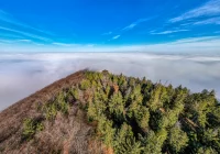 Województwo chce się włączyć w budowę nowej wieży - zdjęcie główne