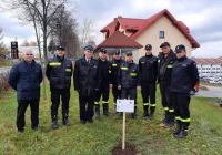Przy remizie OSP Limanowa zasadzono dąb na pamiątkę 100-lecia Związku OSP RP - zdjęcie główne