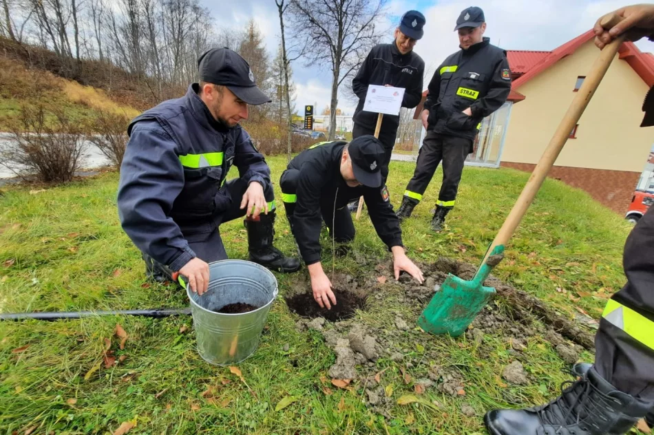 Przy remizie OSP Limanowa zasadzono dąb na pamiątkę 100-lecia Związku OSP RP - zdjęcie 2