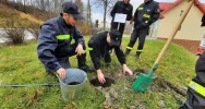 Przy remizie OSP Limanowa zasadzono dąb na pamiątkę 100-lecia Związku OSP RP - zdjęcie 2