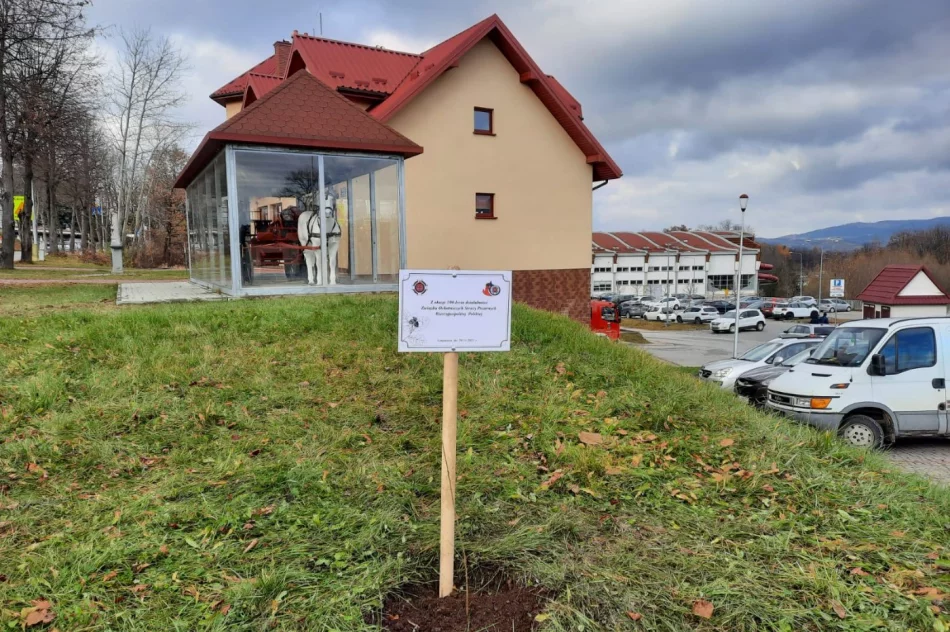 Przy remizie OSP Limanowa zasadzono dąb na pamiątkę 100-lecia Związku OSP RP - zdjęcie 4