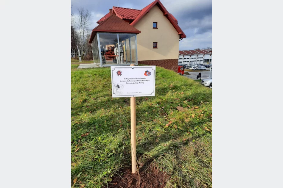 Przy remizie OSP Limanowa zasadzono dąb na pamiątkę 100-lecia Związku OSP RP - zdjęcie 5