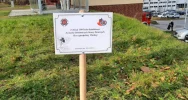 Przy remizie OSP Limanowa zasadzono dąb na pamiątkę 100-lecia Związku OSP RP - zdjęcie 5