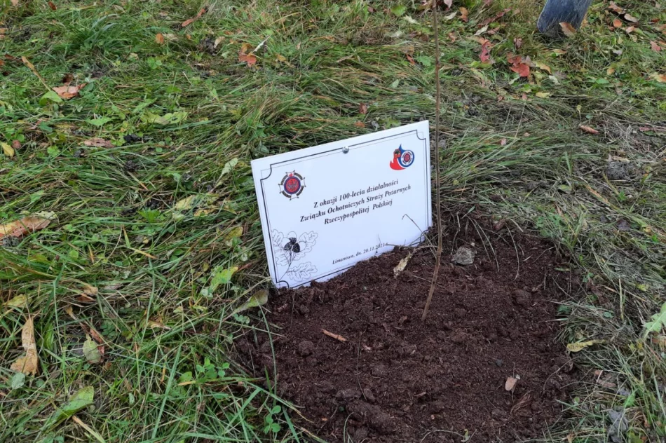 Przy remizie OSP Limanowa zasadzono dąb na pamiątkę 100-lecia Związku OSP RP - zdjęcie 7