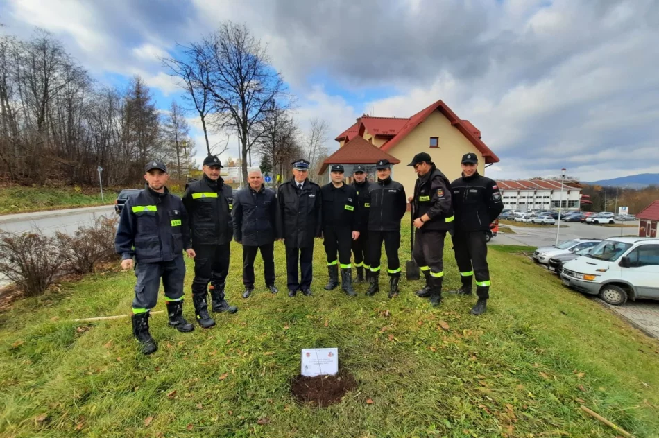Przy remizie OSP Limanowa zasadzono dąb na pamiątkę 100-lecia Związku OSP RP - zdjęcie 8
