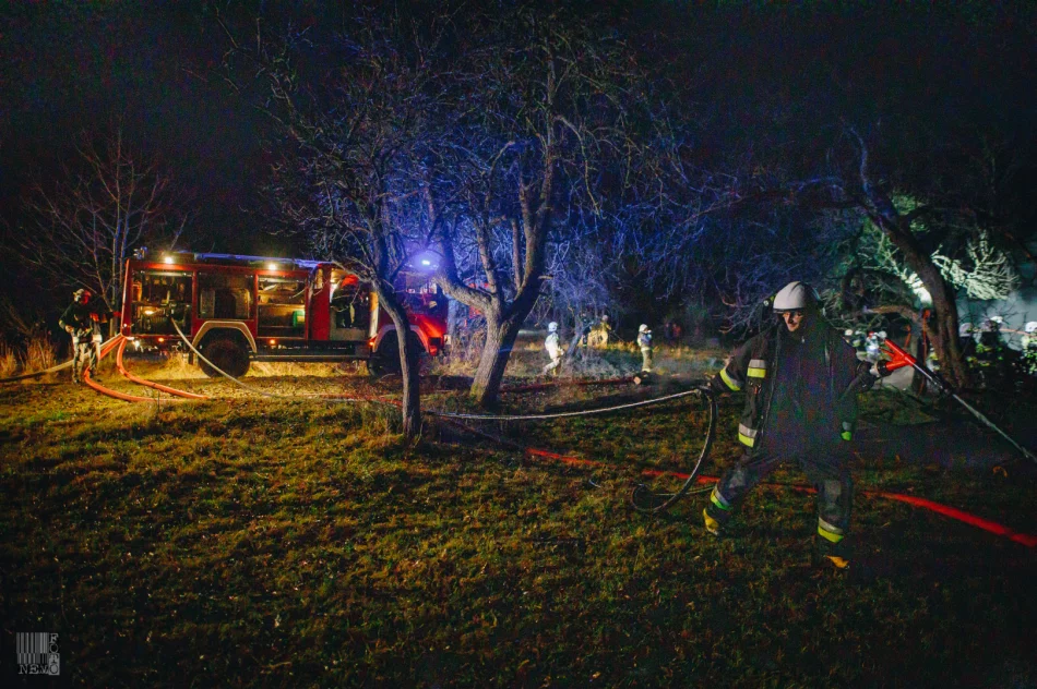 Pożar budynku gospodarczego - strażacy uratowali dom - zdjęcie 3