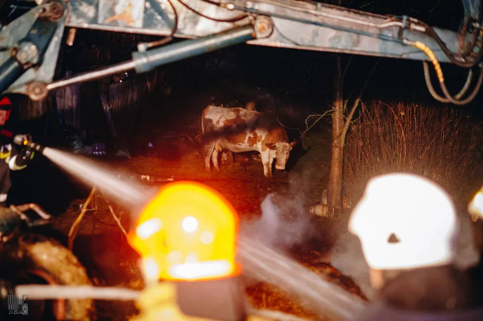 Pożar budynku gospodarczego - strażacy uratowali dom - zdjęcie 19