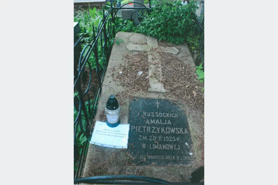 Urząd chce uratować ostatnie zabytkowe nagrobki - zdjęcie 3