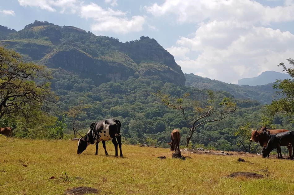 Jutro spotkanie z podróżnikiem - będzie dyskusja i zdjęcia egzotycznych miejsc - zdjęcie 5