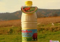 Mleko trafiło na półki Almy w całym kraju - zdjęcie główne