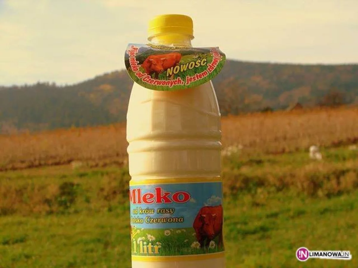 Mleko trafiło na półki Almy w całym kraju