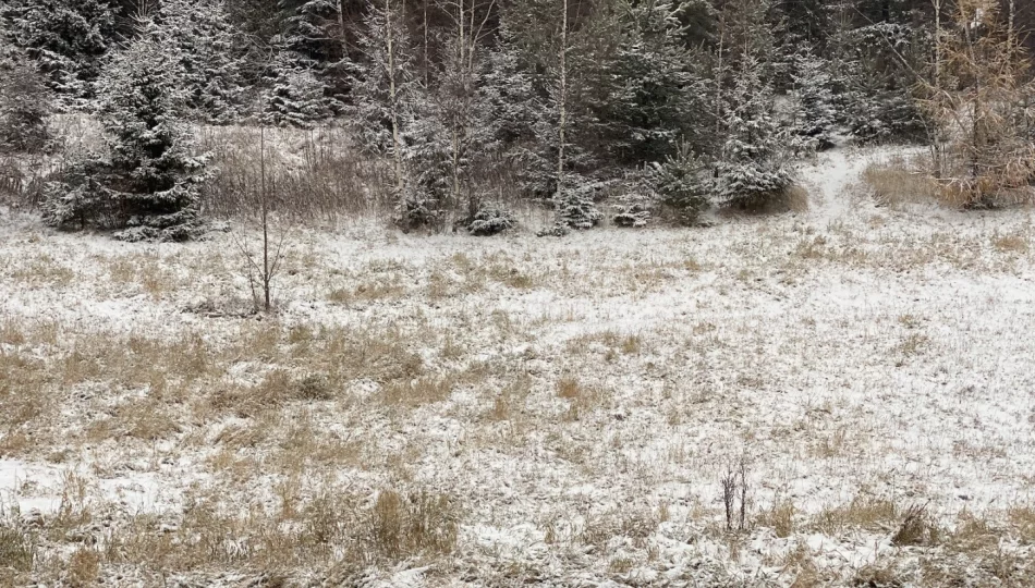 Prognoza synoptyczna na 48 tydzień roku: deszcz, śnieg i silny wiatr - zdjęcie 1