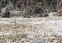 Prognoza synoptyczna na 48 tydzień roku: deszcz, śnieg i silny wiatr - zdjęcie główne