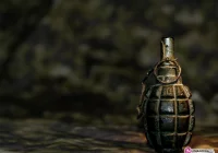 W pobliżu lasu znaleźli granat F-1 - zdjęcie główne