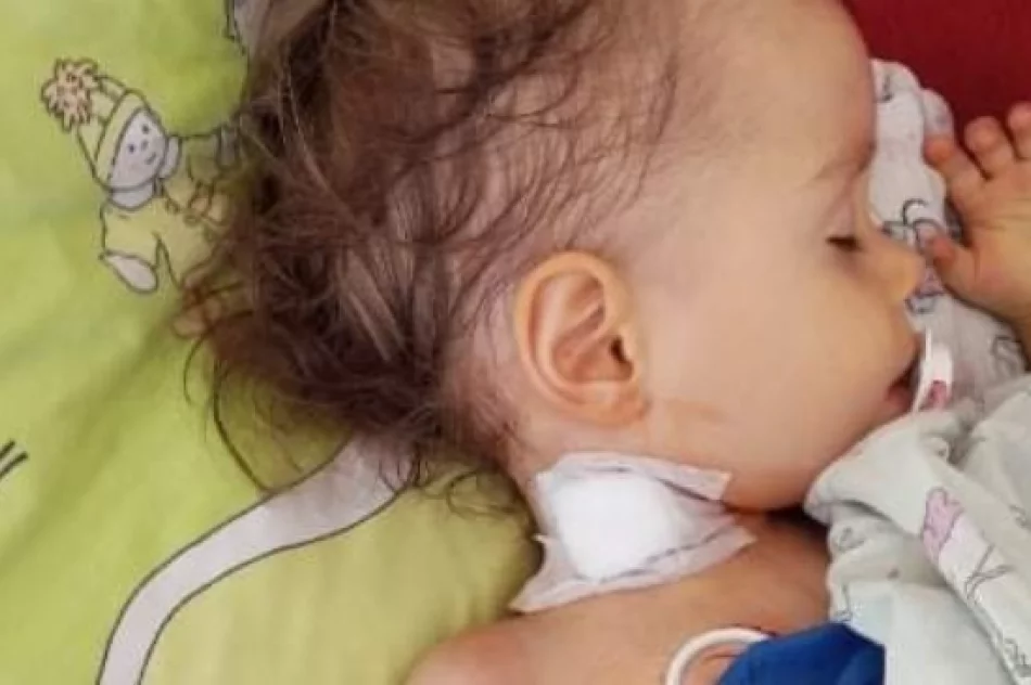 2-letnia Zuzia walczy o zdrowie - zdjęcie 2