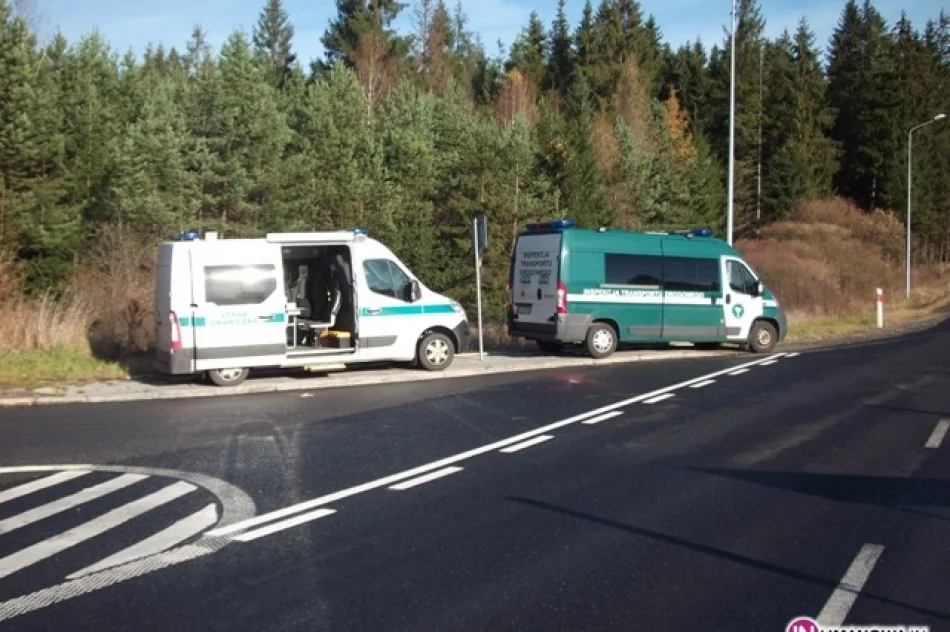 Wznowiono kontrole na granicach - zdjęcie 2