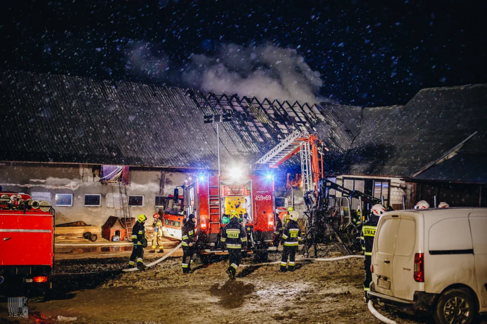 Strażacy gasili pożar zabudowań gospodarczych - zdjęcie 3
