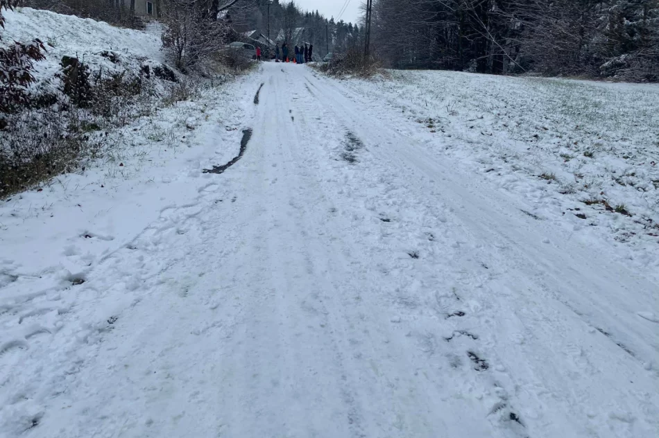 Dachowanie na śliskiej drodze, dwie osoby poszkodowane - zdjęcie 3
