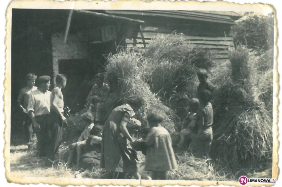 Warto fotografować, bo 'tak szybko odchodzą' - zdjęcie 3